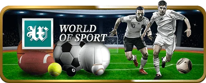 Đá Gà Trực Tuyến 365ball